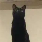 激辛の画像