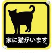 ちむにーの画像