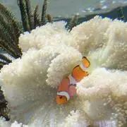 ２児ママ