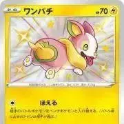 わんぱちの画像