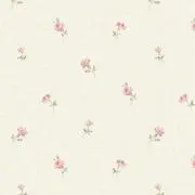 cocoの画像