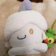 KSKかーさん・断捨離中の画像