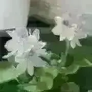 なこ☆プロフ読んでね☆の画像