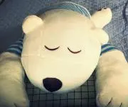 ソニアの画像