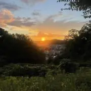 どすこいどすの画像
