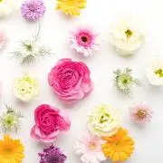 てぶくろ