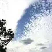 TOMO✨の画像