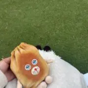 みずごろうの画像