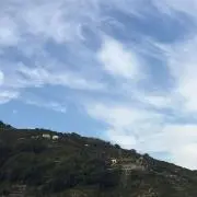 dammyの画像