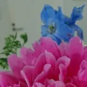 ふく