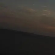 た