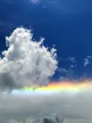 レイルの画像