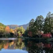 saeraの画像
