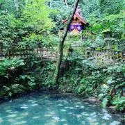 石見神楽 広島神楽 神楽 腕抜き - メルカリ