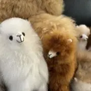 もふもふの画像