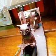 やなの画像
