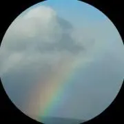 クリムコッタの画像