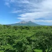 あずき☆