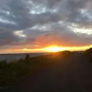 29523526の画像