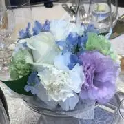 Melodyの画像
