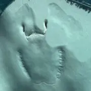 おもてなし野郎の画像