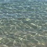 chokiの画像