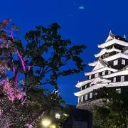 Image of ミサト☆即購入可｜匿名可