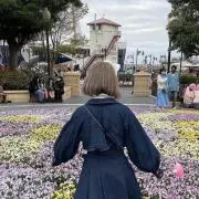 麗の画像