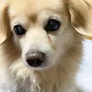 ゆみの画像