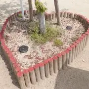 みにの画像