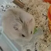 りんこ︎☺︎
