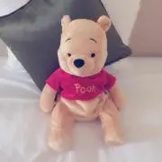 ぶぅの画像