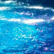 カチの画像