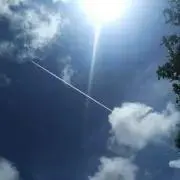 みーの画像