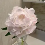 K♡T（プロフ必読）の画像