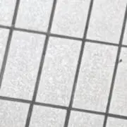 aaa