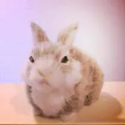 すーざん