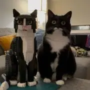 ホ