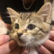 もぃもぃ
