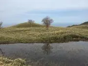 ゆゆゆの画像