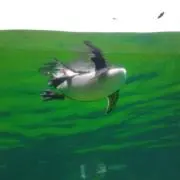 Namiの画像