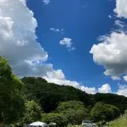 S.S.Sの画像