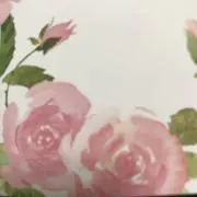 tomoの画像
