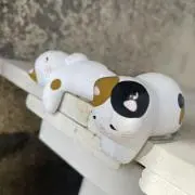 にゃんまるの画像