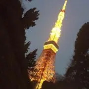 bluegreenの画像
