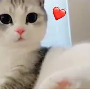 いちごマルシェの画像