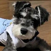 ♡ maru ♡の画像