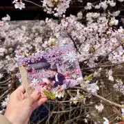 ふにはる