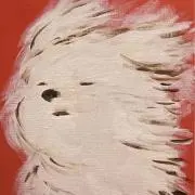 つなの画像