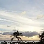 サラダの画像